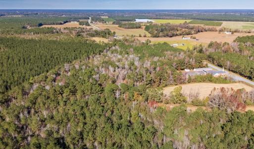 Photo #7 of Off 2870 Wilmington Hwy, Willard, NC 7.0 acres