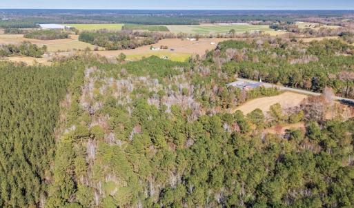 Photo #8 of Off 2870 Wilmington Hwy, Willard, NC 7.0 acres