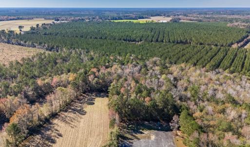 Photo #11 of Off 2870 Wilmington Hwy, Willard, NC 7.0 acres