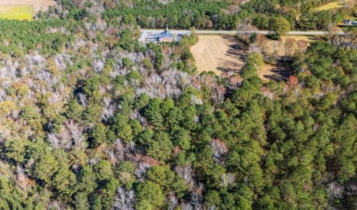 Photo #14 of Off 2870 Wilmington Hwy, Willard, NC 7.0 acres