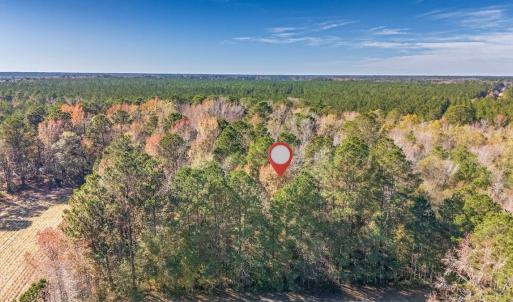 Photo #18 of Off 2870 Wilmington Hwy, Willard, NC 7.0 acres