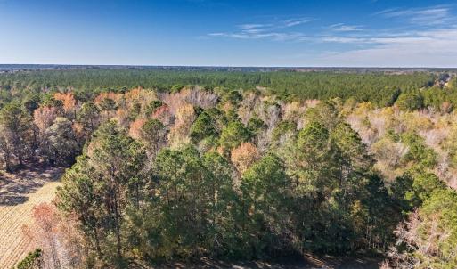 Photo #19 of Off 2870 Wilmington Hwy, Willard, NC 7.0 acres
