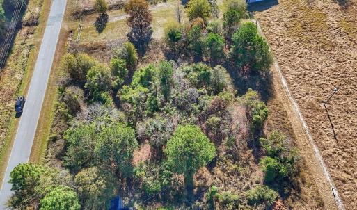 Photo #13 of SOLD property in Off County Line Rd, La Grange, NC 1.3 acres