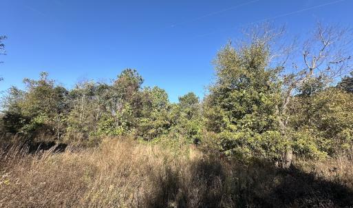 Photo #30 of SOLD property in Off County Line Rd, La Grange, NC 1.3 acres