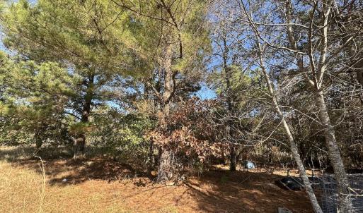 Photo #31 of SOLD property in Off County Line Rd, La Grange, NC 1.3 acres