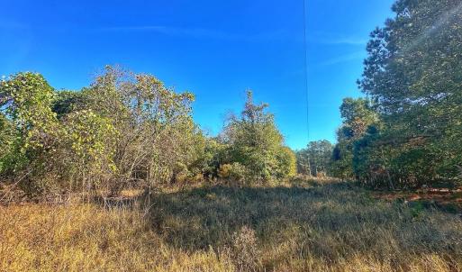Photo #33 of SOLD property in Off County Line Rd, La Grange, NC 1.3 acres