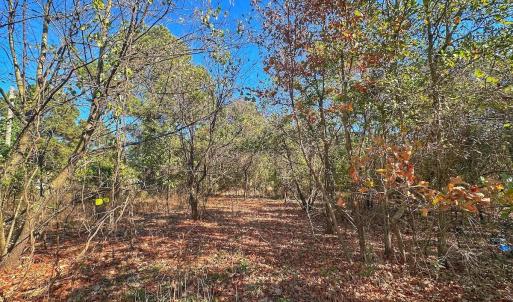 Photo #34 of SOLD property in Off County Line Rd, La Grange, NC 1.3 acres