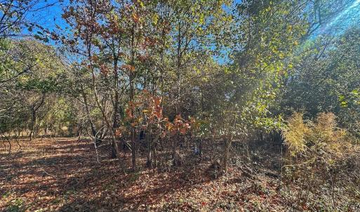 Photo #35 of SOLD property in Off County Line Rd, La Grange, NC 1.3 acres