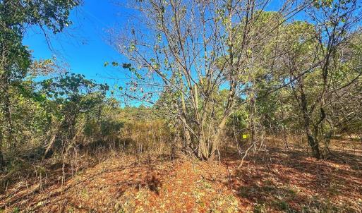 Photo #36 of SOLD property in Off County Line Rd, La Grange, NC 1.3 acres