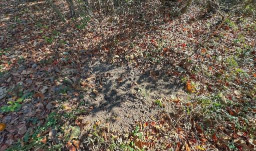 Photo #37 of SOLD property in Off County Line Rd, La Grange, NC 1.3 acres