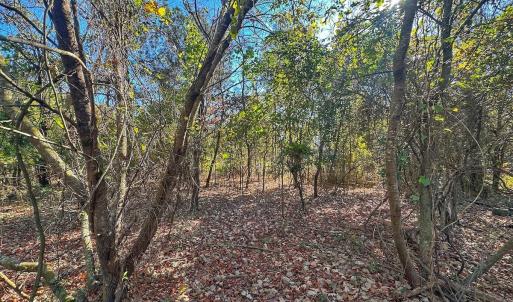 Photo #38 of SOLD property in Off County Line Rd, La Grange, NC 1.3 acres