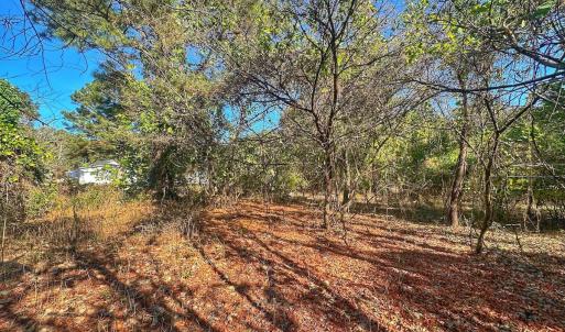 Photo #39 of SOLD property in Off County Line Rd, La Grange, NC 1.3 acres