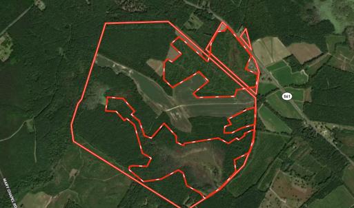 Photo #89 of SOLD property in Off Hwy 561, Halifax, NC 557.1 acres