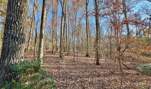 Photo #10 of SOLD property in 176 Suwanee Rd, Troy, NC 0.6 acres