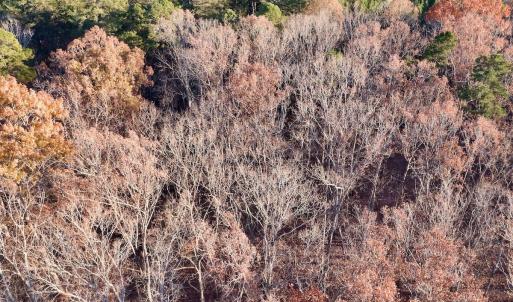 Photo #11 of SOLD property in 176 Suwanee Rd, Troy, NC 0.6 acres