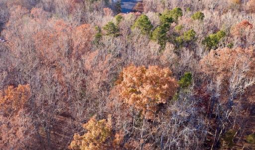 Photo #12 of SOLD property in 176 Suwanee Rd, Troy, NC 0.6 acres