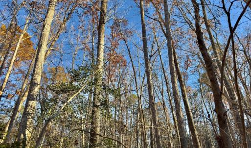Photo #15 of SOLD property in 176 Suwanee Rd, Troy, NC 0.6 acres