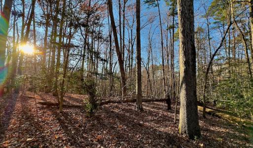 Photo #16 of SOLD property in 176 Suwanee Rd, Troy, NC 0.6 acres