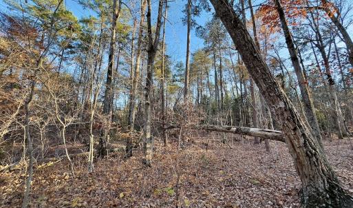 Photo #17 of SOLD property in 176 Suwanee Rd, Troy, NC 0.6 acres