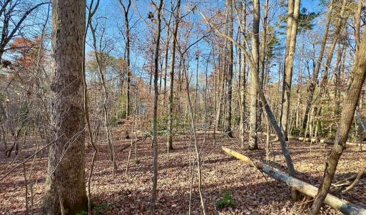 Photo #20 of SOLD property in 176 Suwanee Rd, Troy, NC 0.6 acres