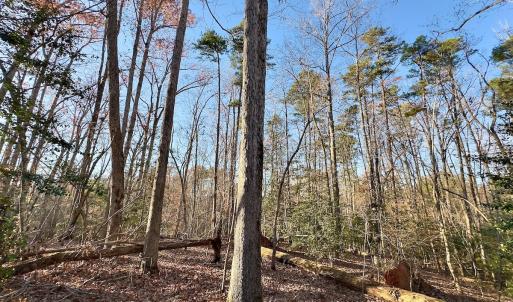 Photo #21 of SOLD property in 176 Suwanee Rd, Troy, NC 0.6 acres