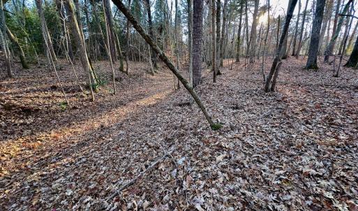Photo #22 of SOLD property in 176 Suwanee Rd, Troy, NC 0.6 acres