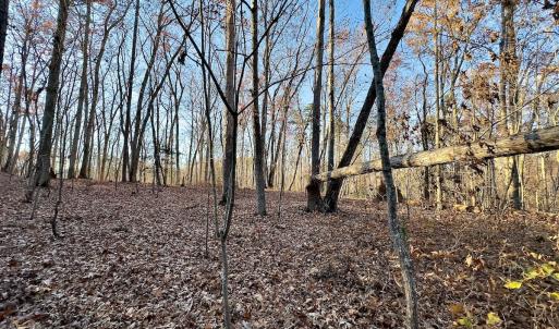 Photo #23 of SOLD property in 176 Suwanee Rd, Troy, NC 0.6 acres