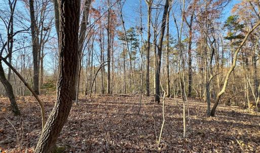 Photo #25 of SOLD property in 176 Suwanee Rd, Troy, NC 0.6 acres