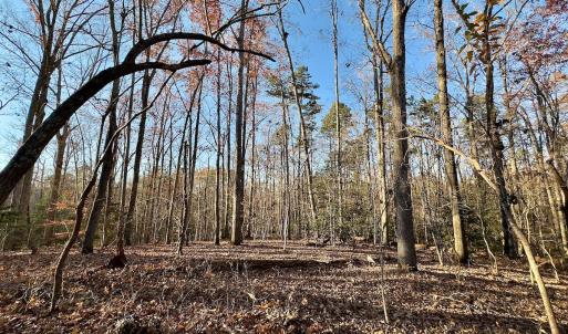 Photo #26 of SOLD property in 176 Suwanee Rd, Troy, NC 0.6 acres
