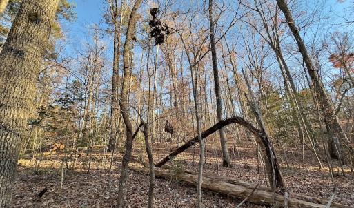 Photo #28 of SOLD property in 176 Suwanee Rd, Troy, NC 0.6 acres