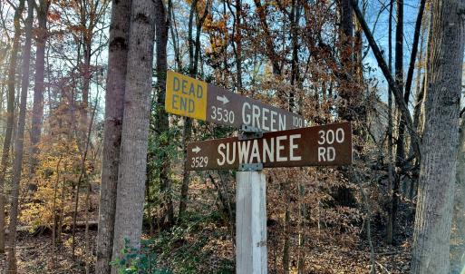 Photo #4 of SOLD property in 176 Suwanee Rd, Troy, NC 0.6 acres