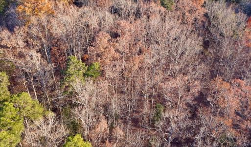 Photo #7 of SOLD property in 176 Suwanee Rd, Troy, NC 0.6 acres