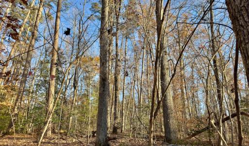 Photo #8 of SOLD property in 176 Suwanee Rd, Troy, NC 0.6 acres
