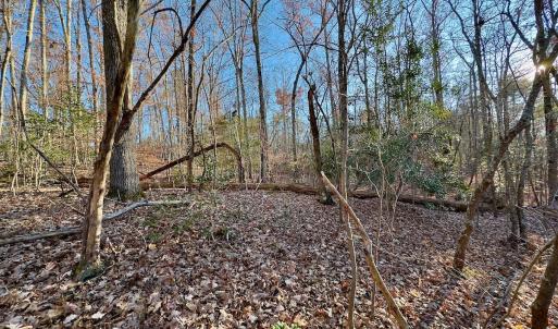 Photo #9 of SOLD property in 176 Suwanee Rd, Troy, NC 0.6 acres
