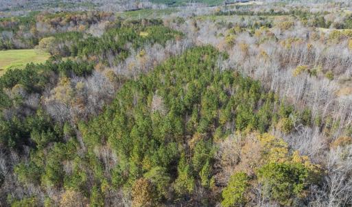 Photo #26 of Lot-1, Off Park Springs Road, Providence, NC 10.9 acres