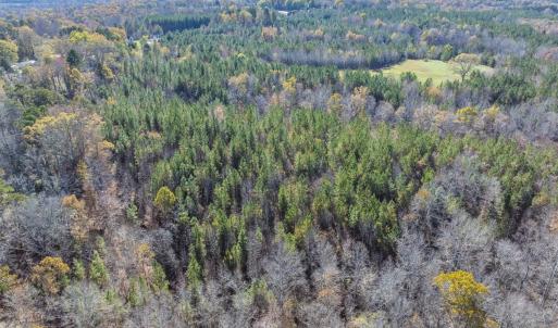 Photo #41 of Lot-1, Off Park Springs Road, Providence, NC 10.9 acres