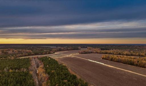 Photo #1 of SOLD property in Off Hwy 561, Halifax, NC 557.1 acres