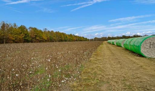 Photo #13 of SOLD property in Off Hwy 561, Halifax, NC 557.1 acres