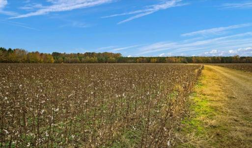Photo #14 of SOLD property in Off Hwy 561, Halifax, NC 557.1 acres