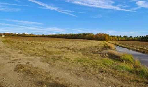 Photo #15 of SOLD property in Off Hwy 561, Halifax, NC 557.1 acres