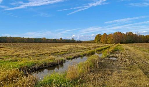 Photo #16 of SOLD property in Off Hwy 561, Halifax, NC 557.1 acres