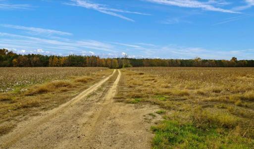 Photo #17 of SOLD property in Off Hwy 561, Halifax, NC 557.1 acres