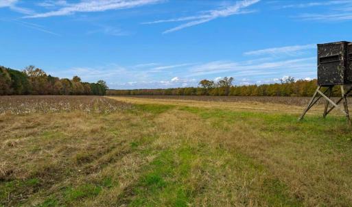 Photo #19 of SOLD property in Off Hwy 561, Halifax, NC 557.1 acres