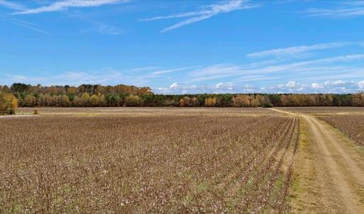 Photo #20 of SOLD property in Off Hwy 561, Halifax, NC 557.1 acres
