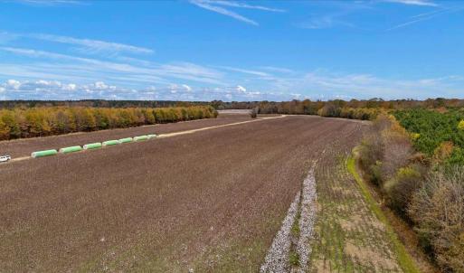 Photo #22 of SOLD property in Off Hwy 561, Halifax, NC 557.1 acres
