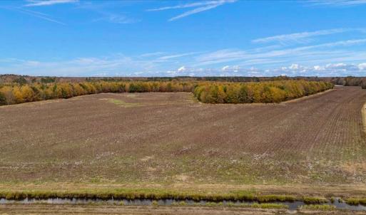 Photo #23 of SOLD property in Off Hwy 561, Halifax, NC 557.1 acres