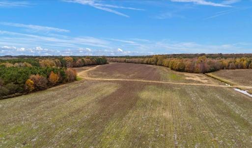 Photo #24 of SOLD property in Off Hwy 561, Halifax, NC 557.1 acres