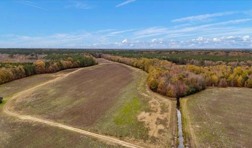 Photo #25 of SOLD property in Off Hwy 561, Halifax, NC 557.1 acres