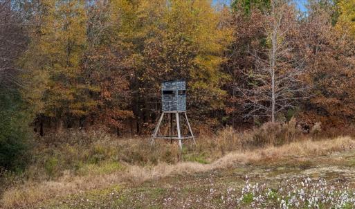 Photo #26 of SOLD property in Off Hwy 561, Halifax, NC 557.1 acres