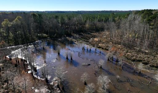 Photo #27 of SOLD property in Off Hwy 561, Halifax, NC 557.1 acres